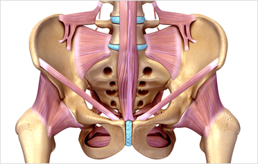 다양한 골반통증은 왜?